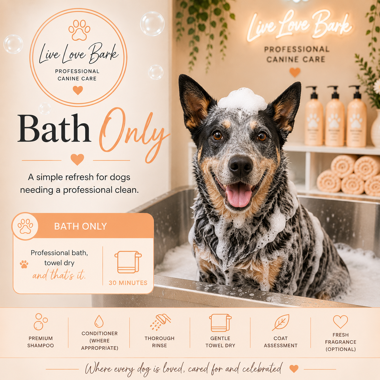 🛁 Bath Only