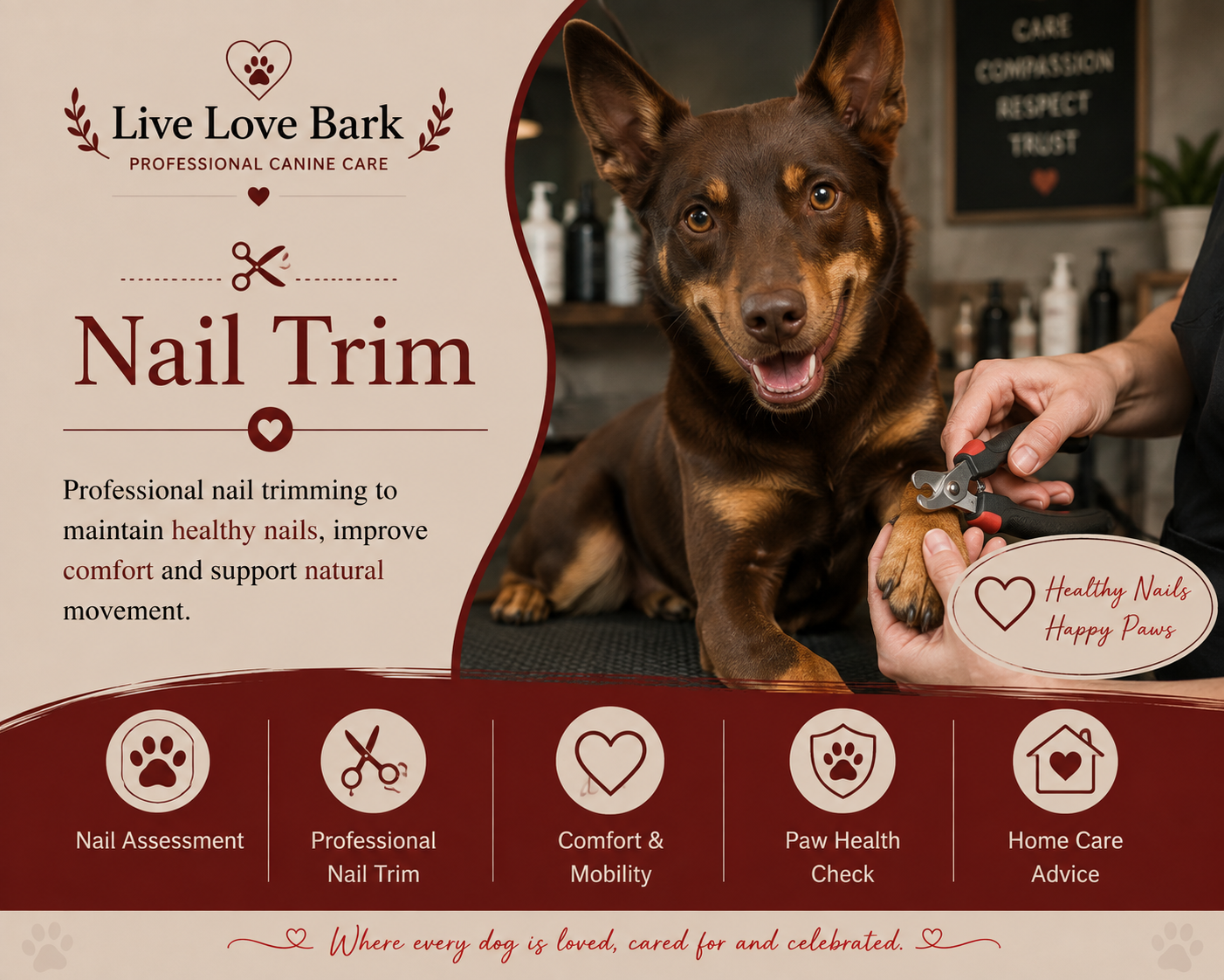 ✂️ Nail Trim