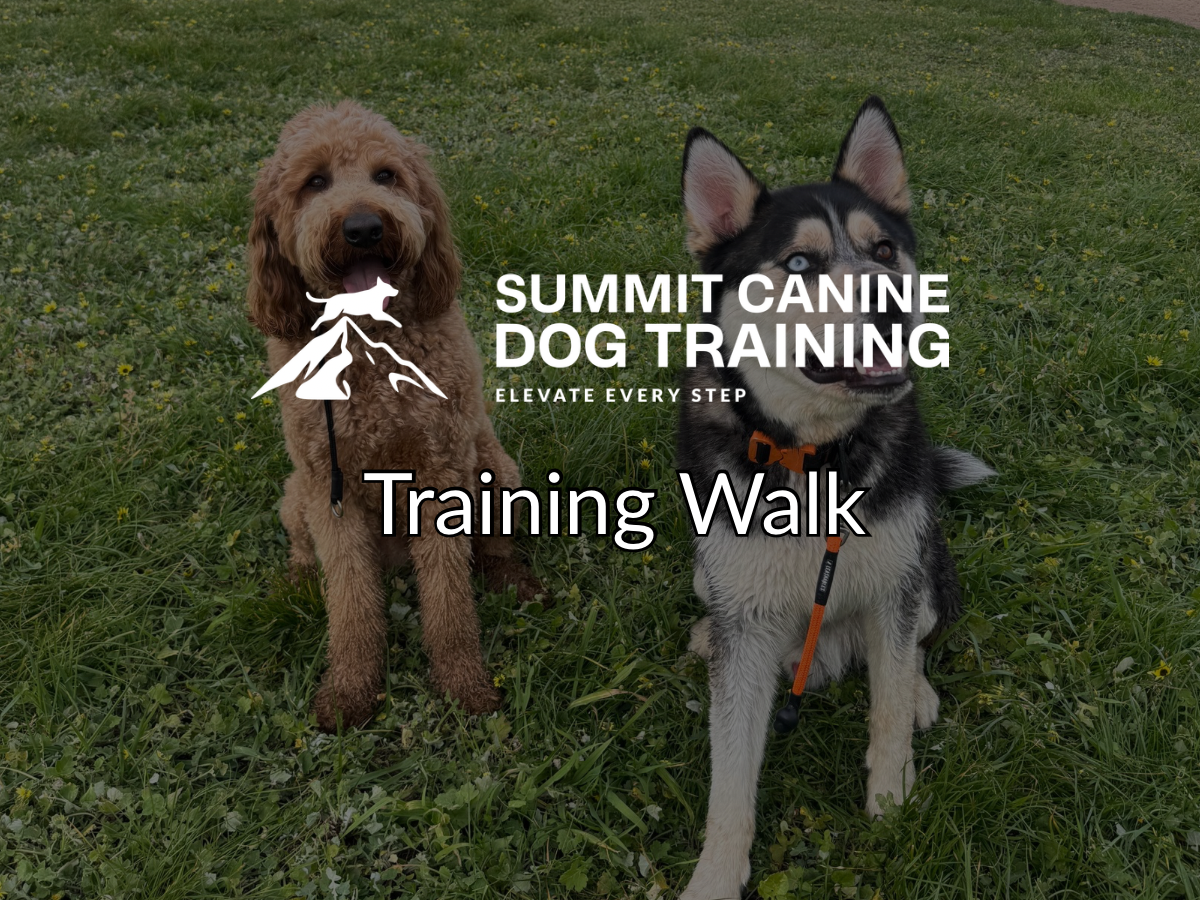 Training Walk