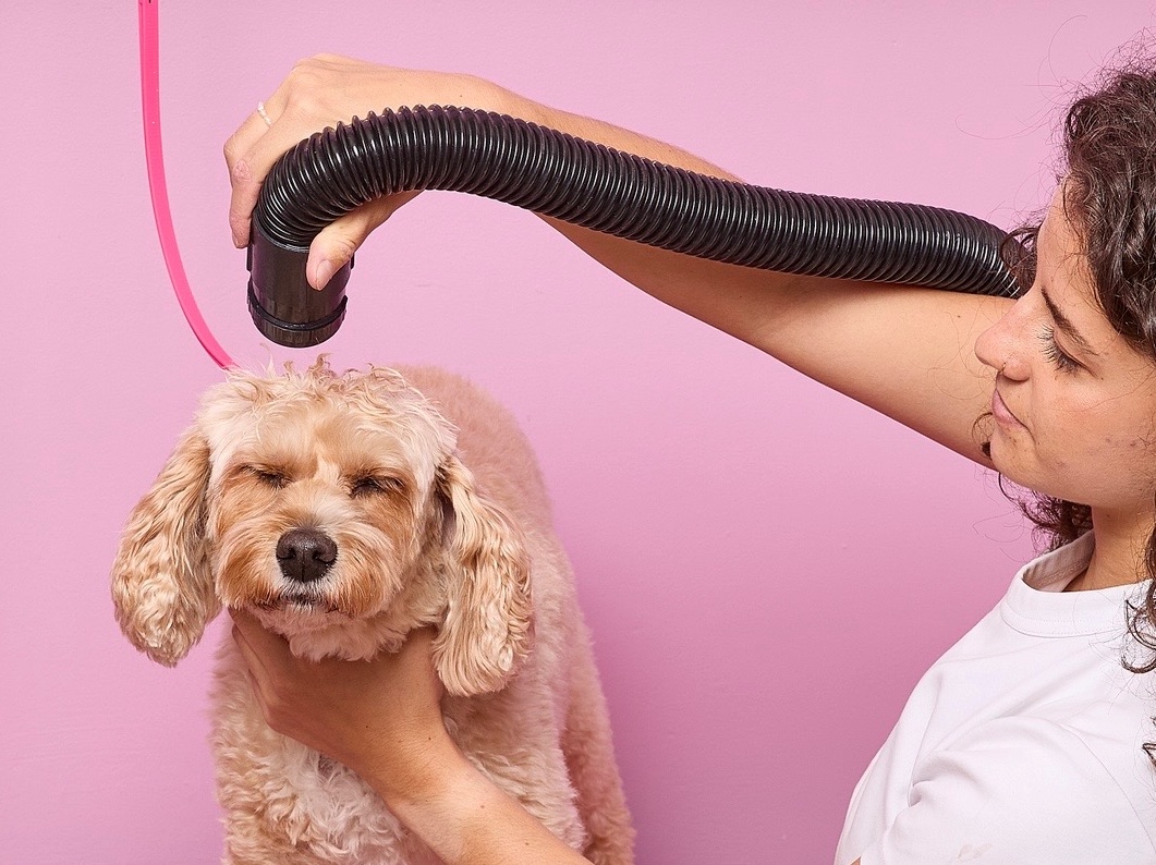 Wash & Blow Dry: Medium