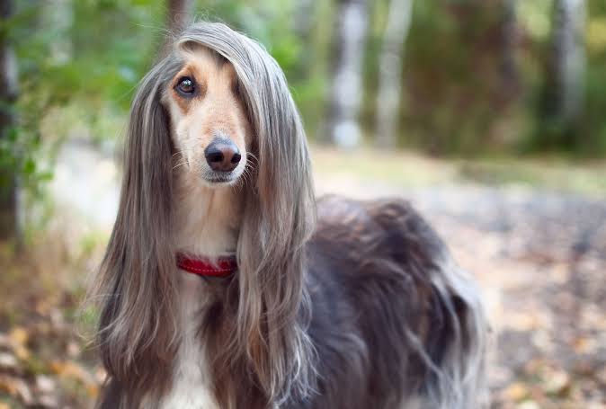 Keratin & Charcoal treatment - Detoxifies and invigorates