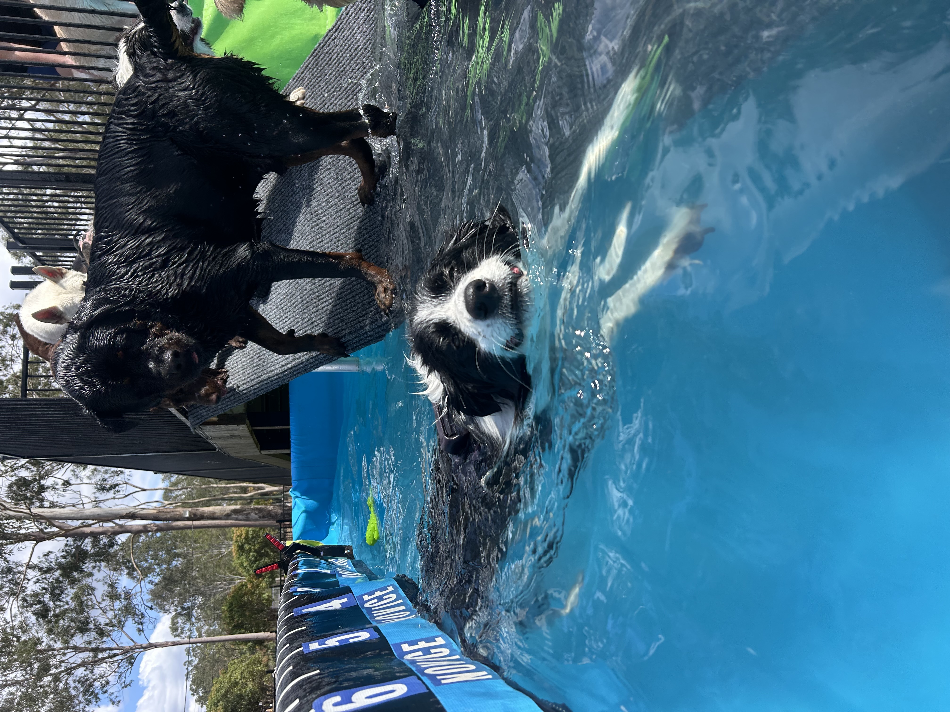 BNE Water Wednesday's Summer 26/27