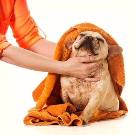 Express Hydro-Bath (Towel Dry Only) - Medium (7-11.9kg)