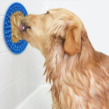 Extra Care Time (Per 15 mins) *Needed for temperament/behaviour*