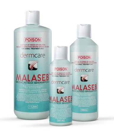 ADD ON - Medicated Shampoo (Malaseb)
