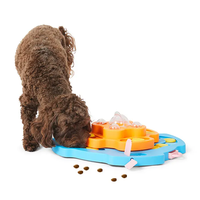 DAYCARE ADD ON - Enrichment Session - Puzzle/Games