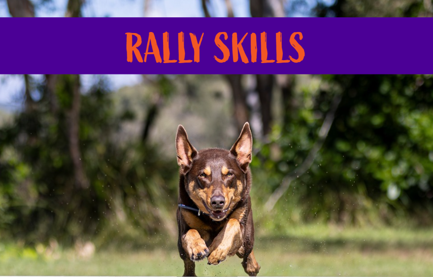 Rally - Drop In Skills Work