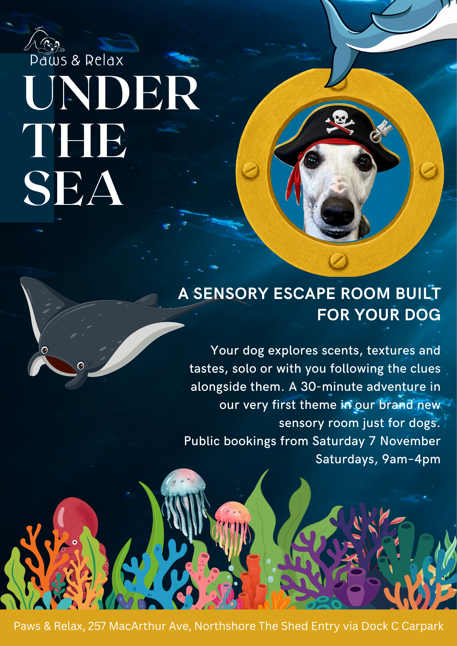 Sensory Room Hire - 30mins (New theme every month!)
