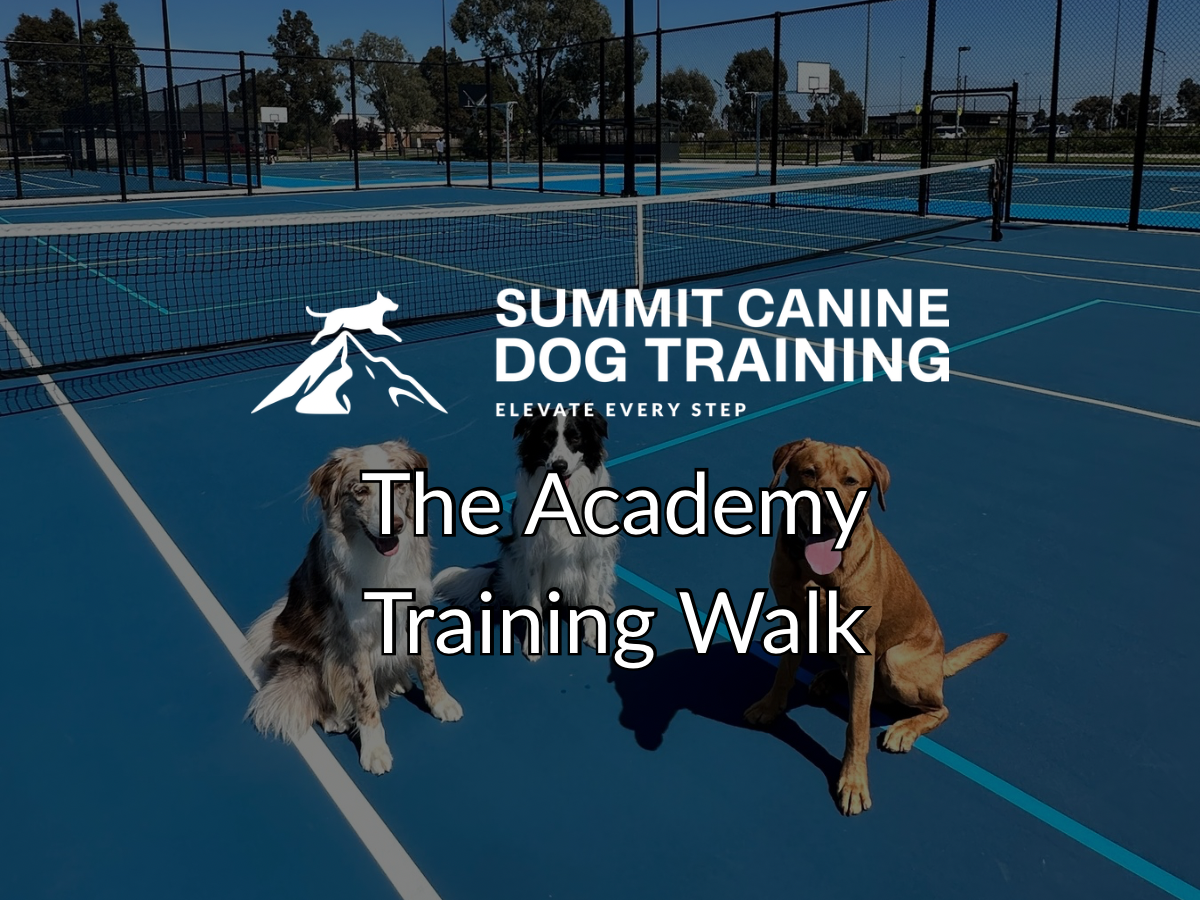 The Academy - Training Session