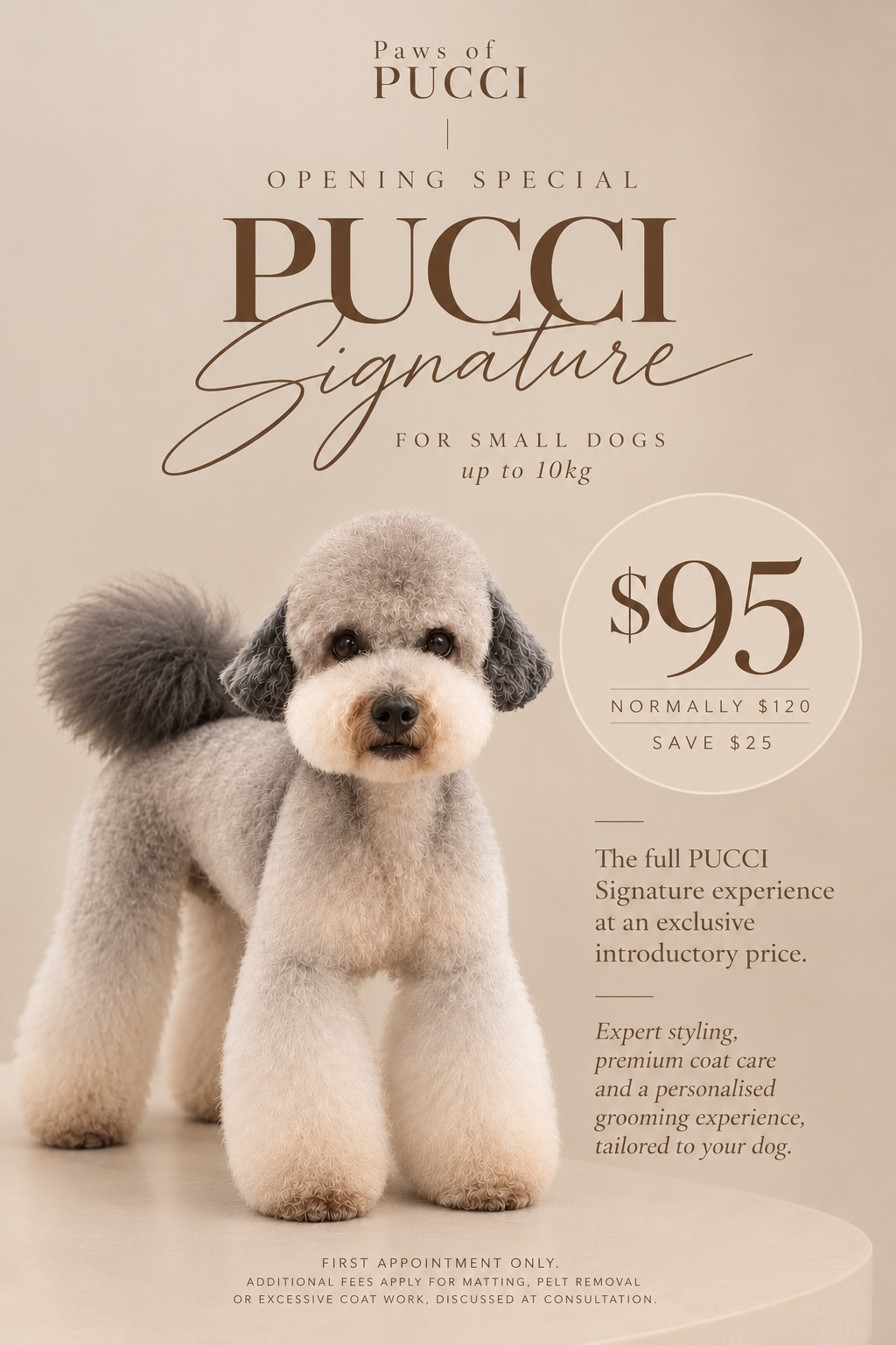 Small Dog Opening Special - $95 Signature Style