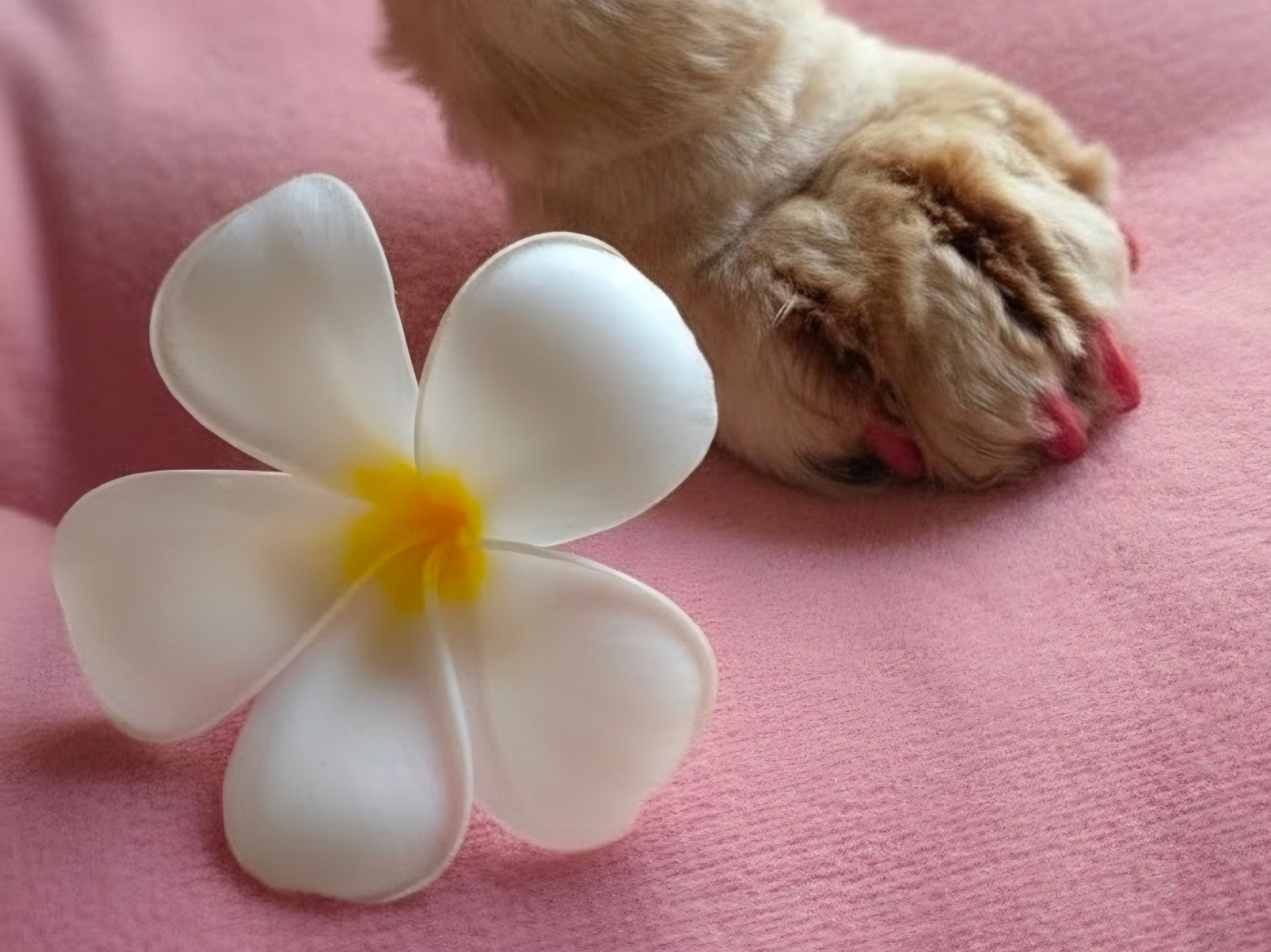 Nail Clipping & Filing