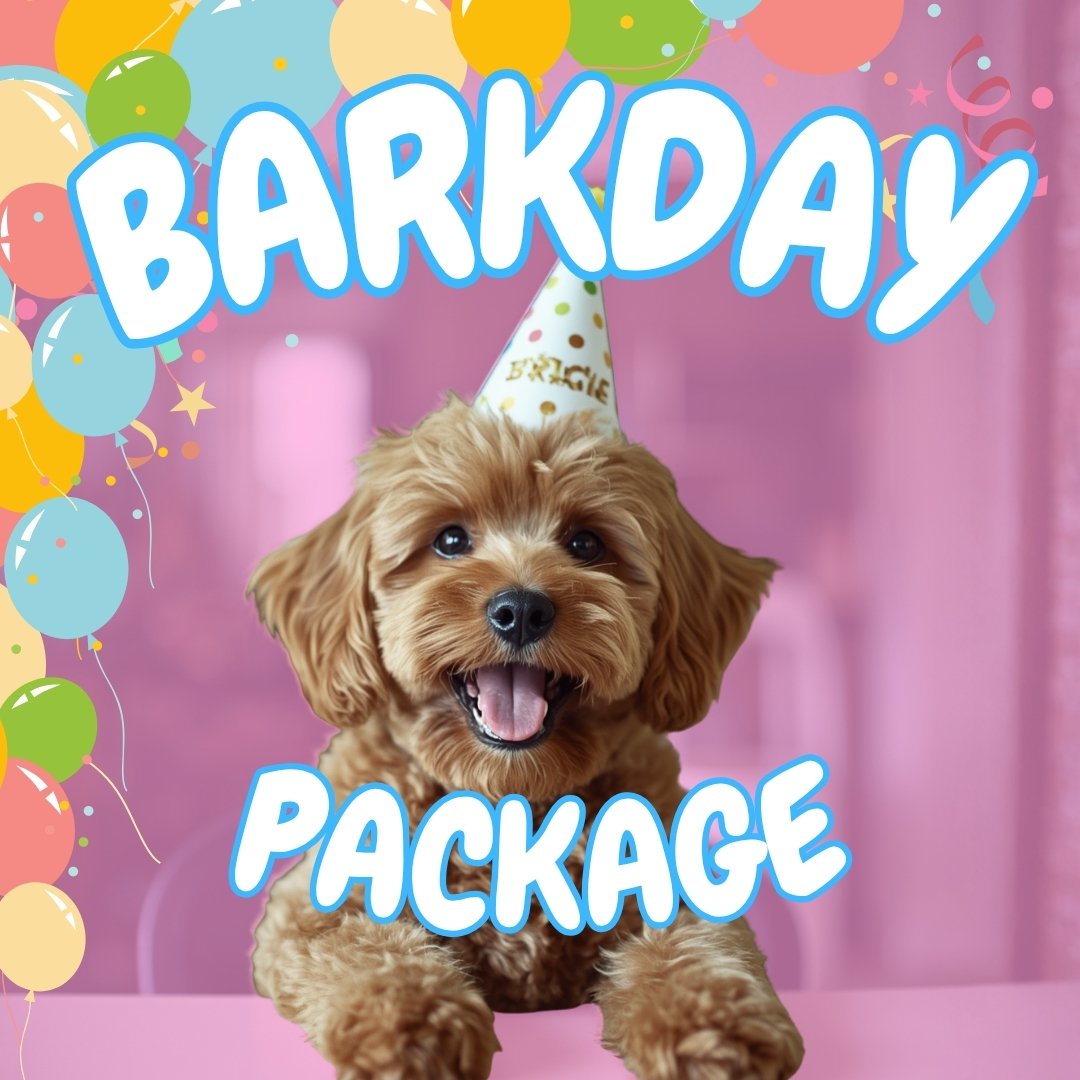 Barkday Package