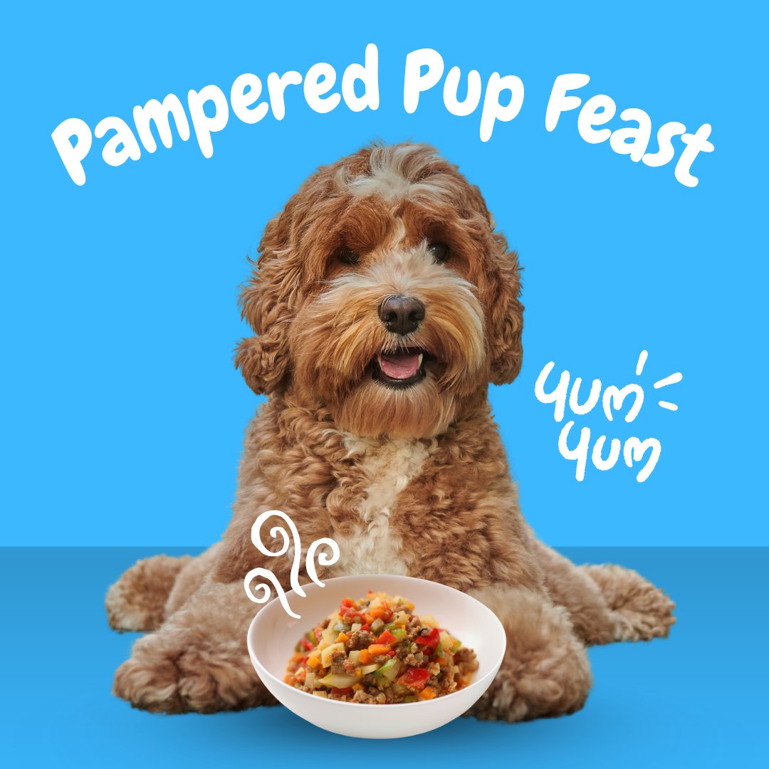 Pampered Pup Feast