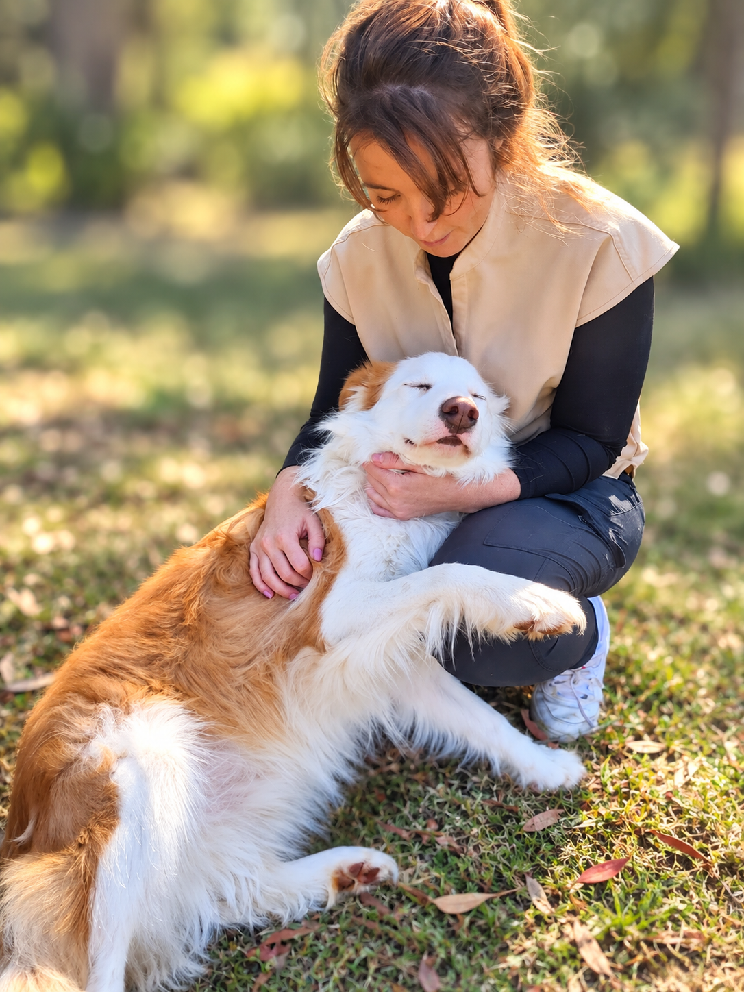 Husky House Call Vet & Oceanside Vet Nurses - photo 4